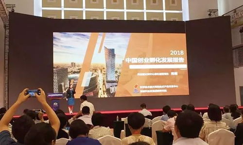 創業孵化 有“創”更得有“孵”，論孵化器管理服務的核心價值